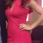 Melissa Gorga Red Keyhole Flutter Sleeve Dress Bebe in Tampa