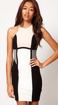 Panelled Body Con Dress