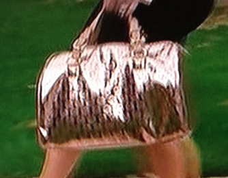 Lisa Vanderpumps Metallic Bag at Kyle's House