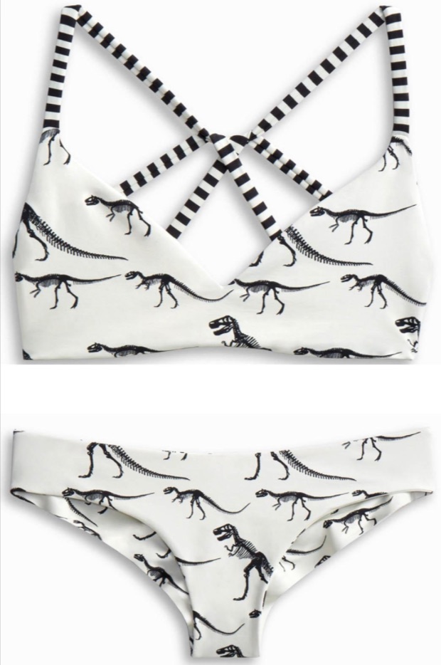 Angela Amezcua's Dinosaur Print Bikini