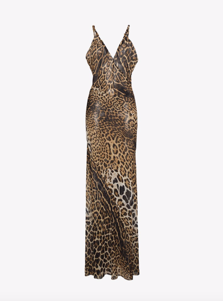 Dorit Kemsley's Leopard Print Dress