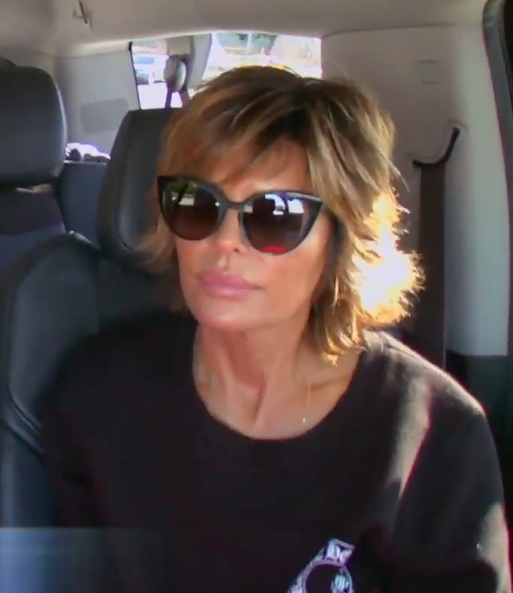 Lisa Rinna's Cut Out Cat Eye Sunglasses