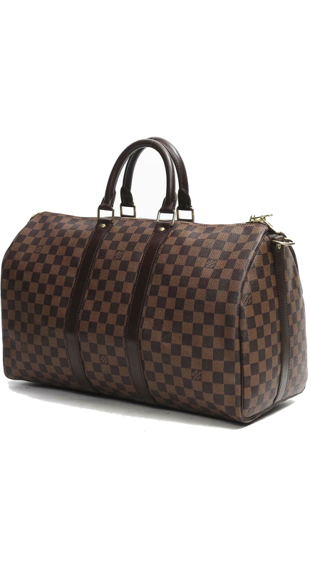 Cameran Eubanks’ Brown Checked Luggage Bag