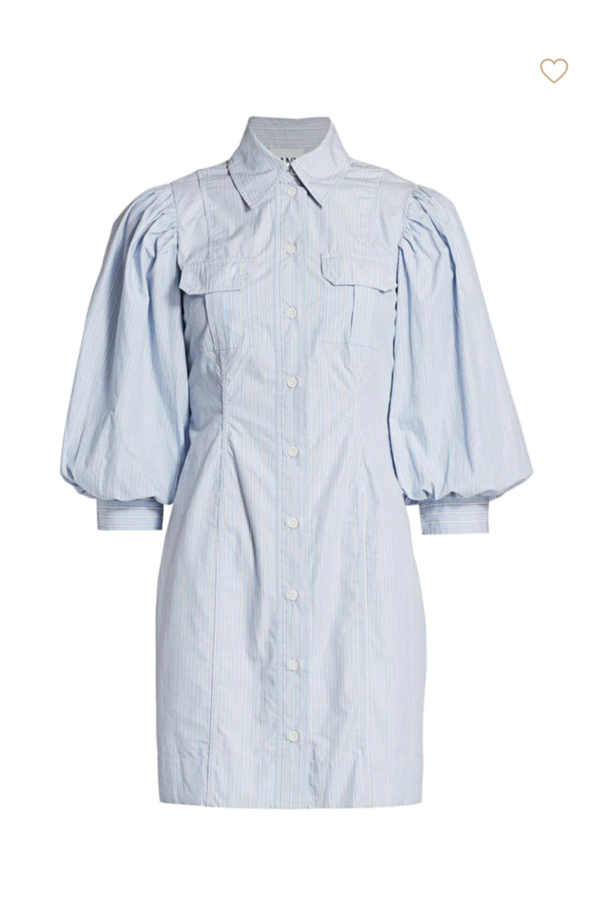 Braunwyn Windham-Burke's Blue Striped Shirt Dress