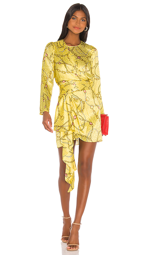 Braunwyn Windham-Burke's Yellow Chain Print Dress