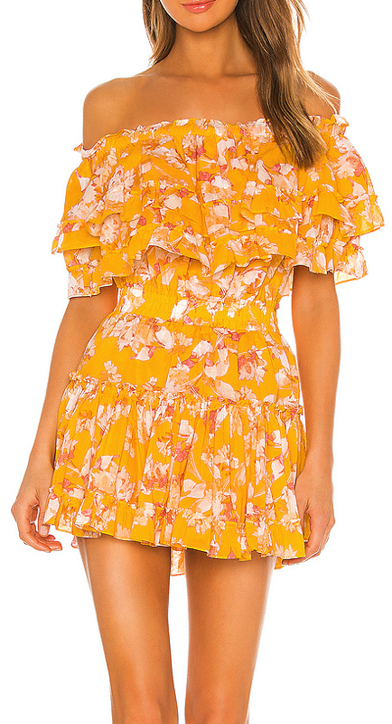 Kary Brittingham’s Yellow Floral Ruffle Dress