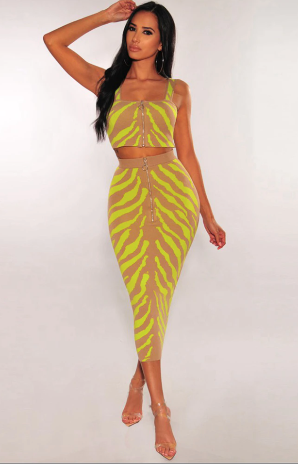 Wendy Osefo's Neon and Tan Zebra Skirt and Top