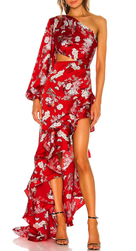 Stephanie Hollman’s Red Floral Cutout Dress