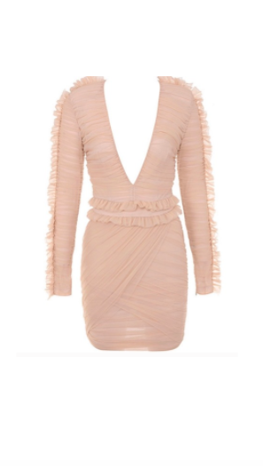 Teresa Giudice's Pink Tulle Ruffle Dress