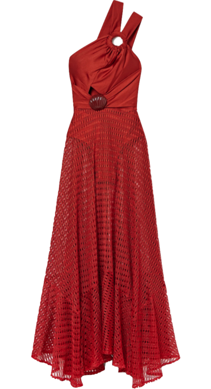 Kyle Richards’ Red Mesh Dress