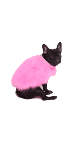 Noella Bergener's Pink Dog Sweater