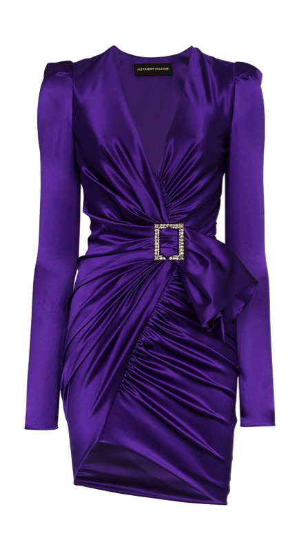 Meredith Marks’ Purple Satin Crystal Buckle Dress