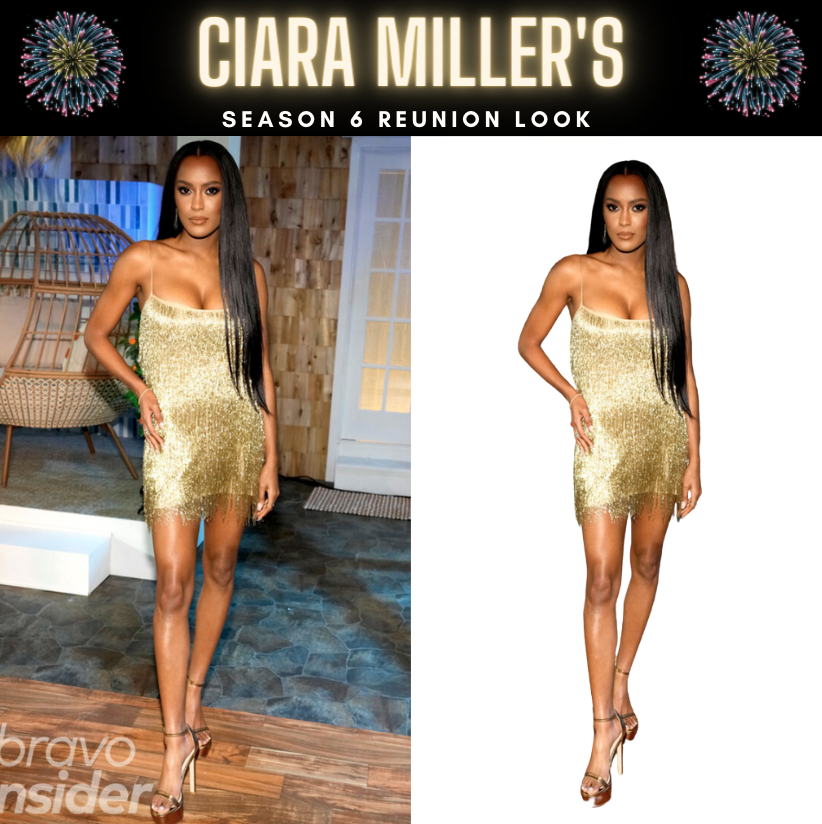 Ciara Miller's Season 6 Reunion Look