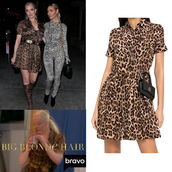 Erika Jayne’s Leopard Shirt Dress