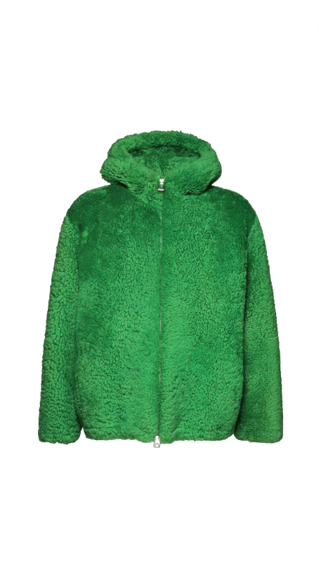 Diana Jenkins' Green Shearling Coat