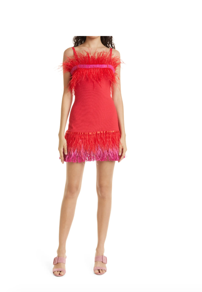 Kyle Richards' Red Feather Dress