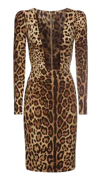 Sutton Stracke's Leopard Mesh Panel Dress in Aspen