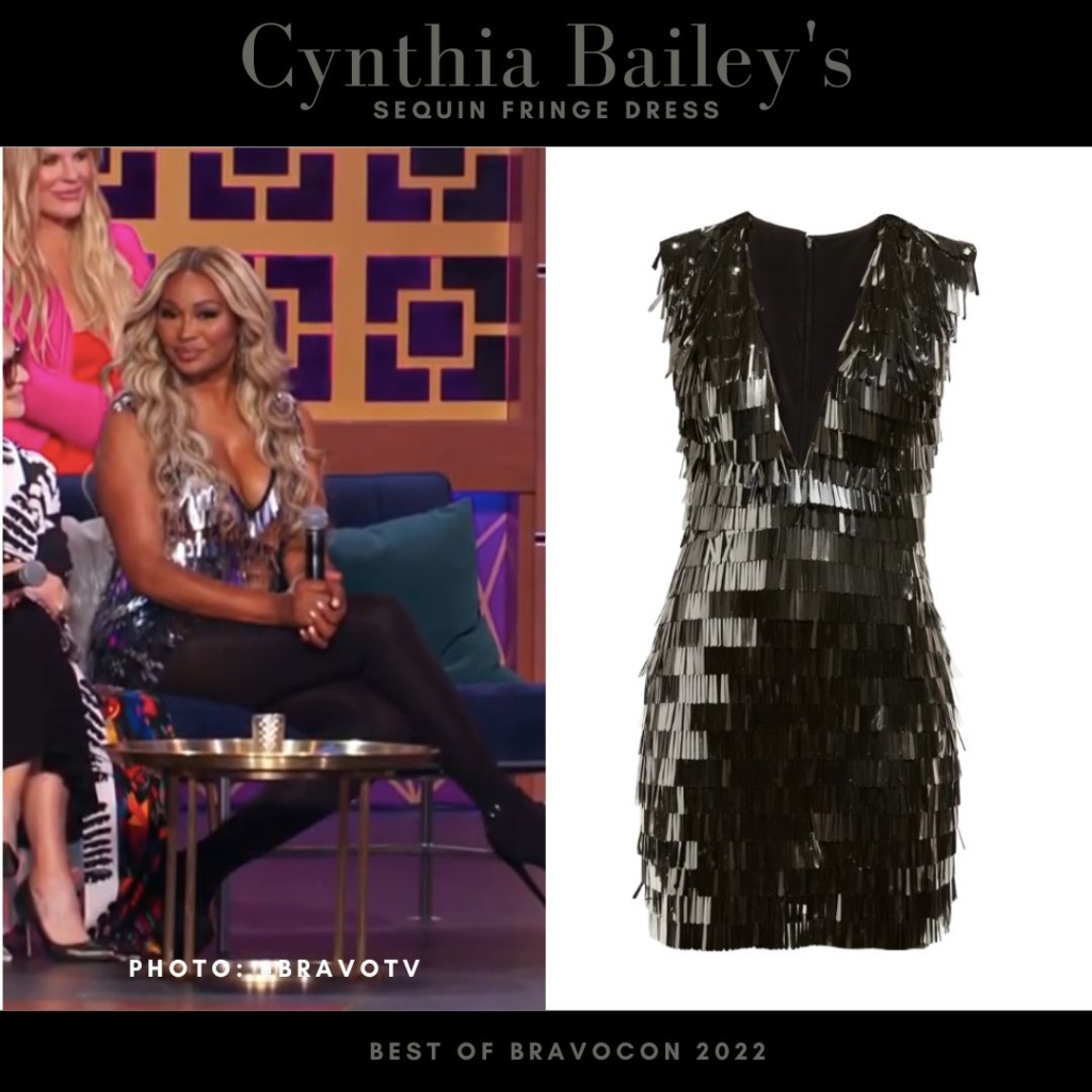 Cynthia Bailey's Sequin Fringe Dress