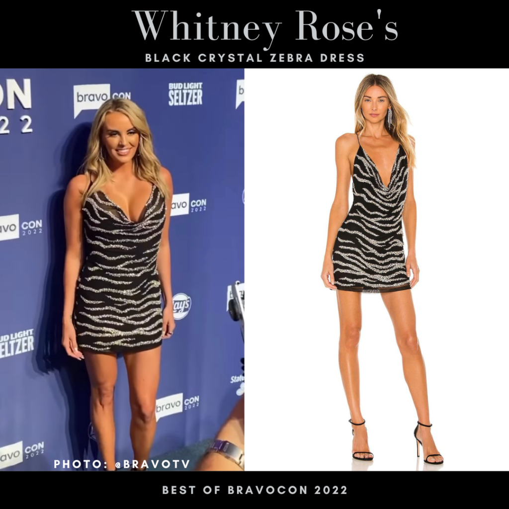 Whitney Rose’s Black Crystal Zebra Dress