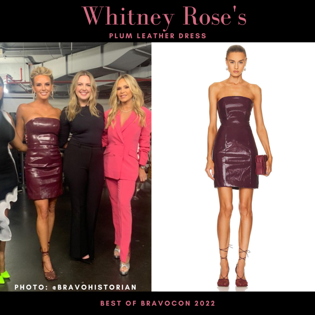 Whitney Rose’s Plum Leather Dress