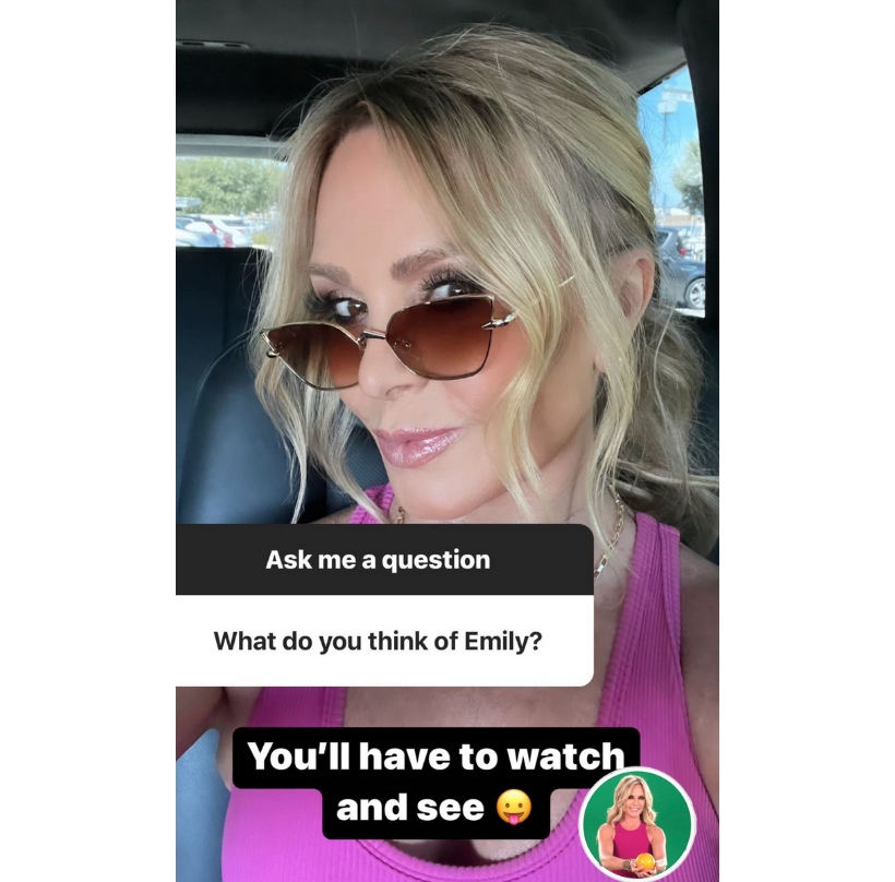 Tamra Judge's Brown Cat Eye Sunglasses