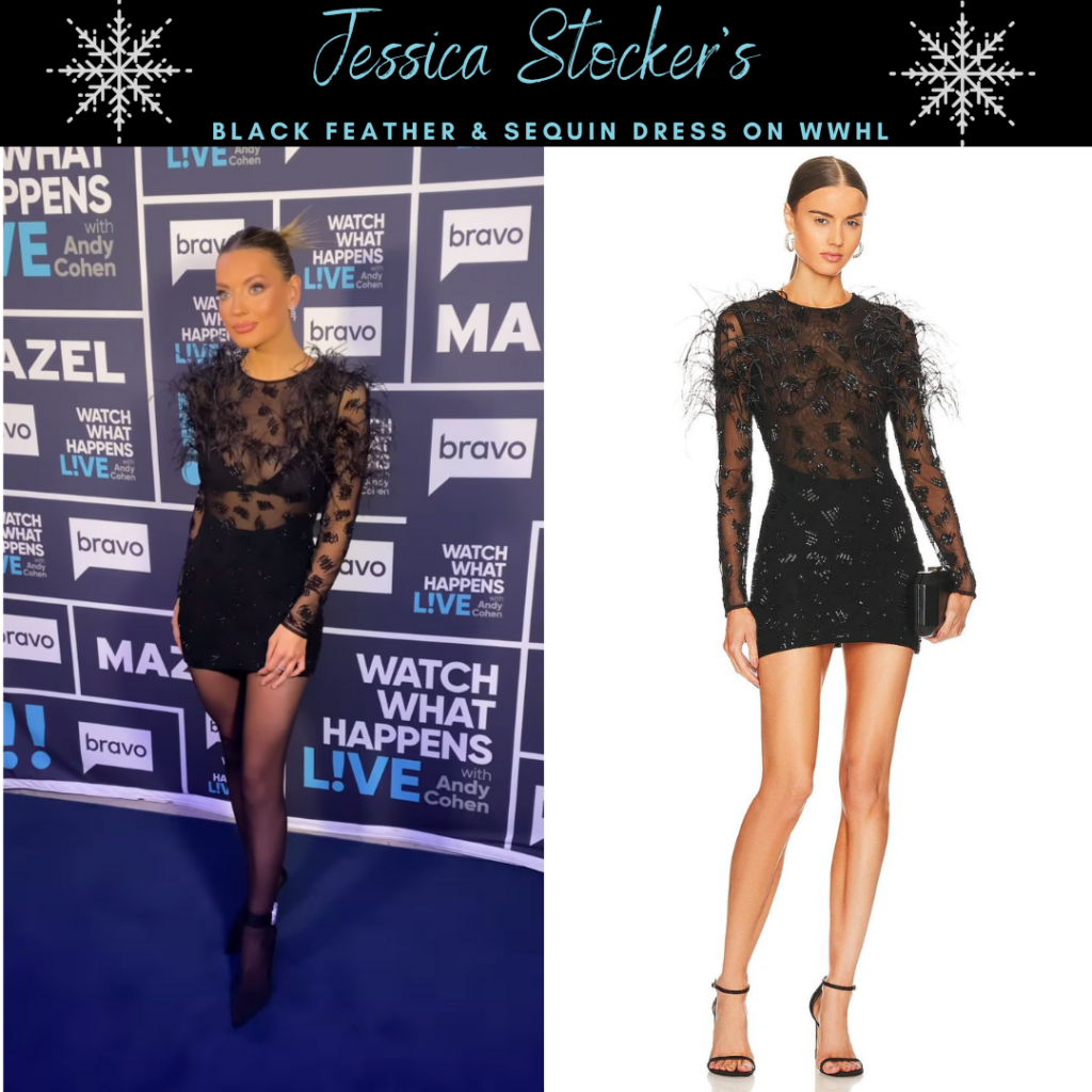 Jessica Stocker's Black Feather and Sequin Dress on WWHL