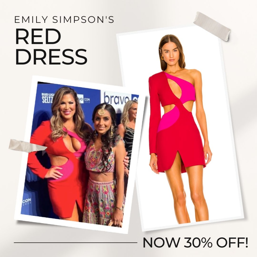 Emily Simpsons Red and Pink Cutout Dress