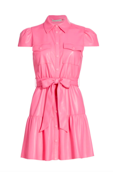 Melissa Gorga's Pink Leather Shirt Dress