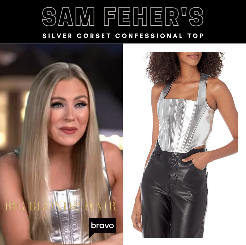 Sam Feher's Silver Corset Confessional Top
