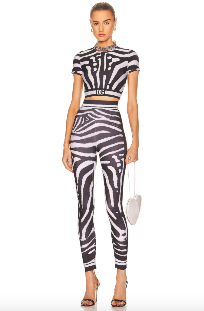 Alexia Echevarria's Zebra Crop Top and Leggings