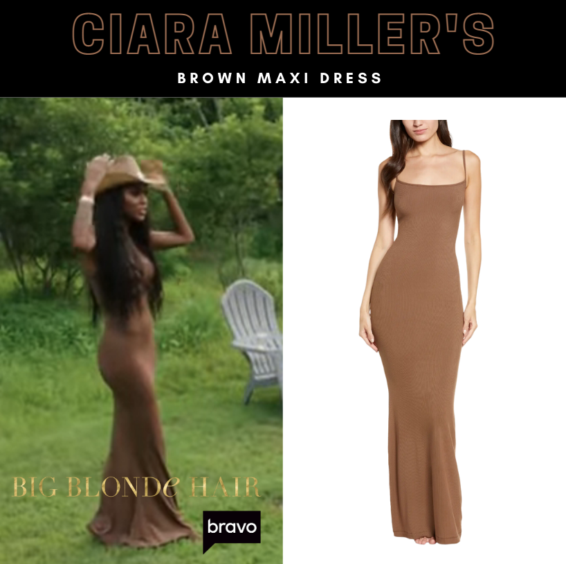 Ciara Miller's Brown Maxi Dress