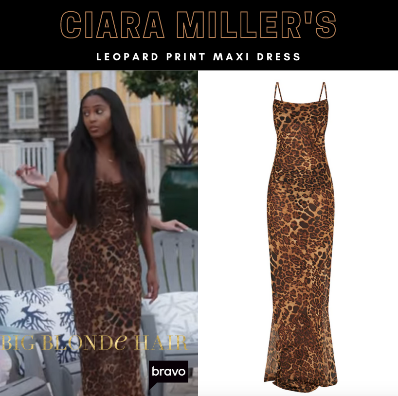 Ciara Miller's Leopard Maxi Dress