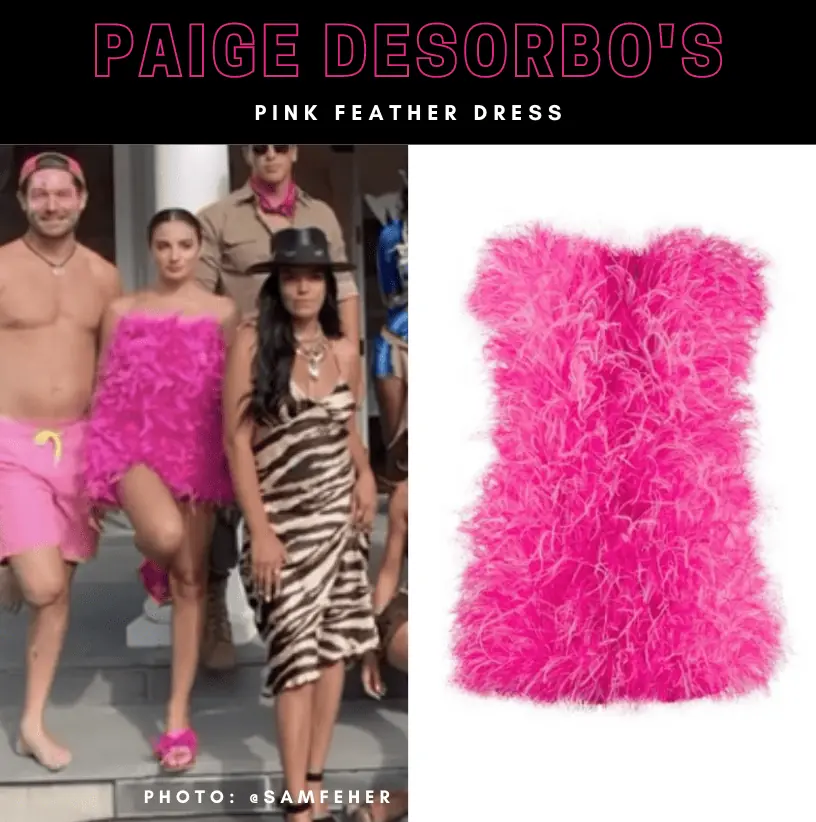 Paige DeSorbo's Pink Feather Dress