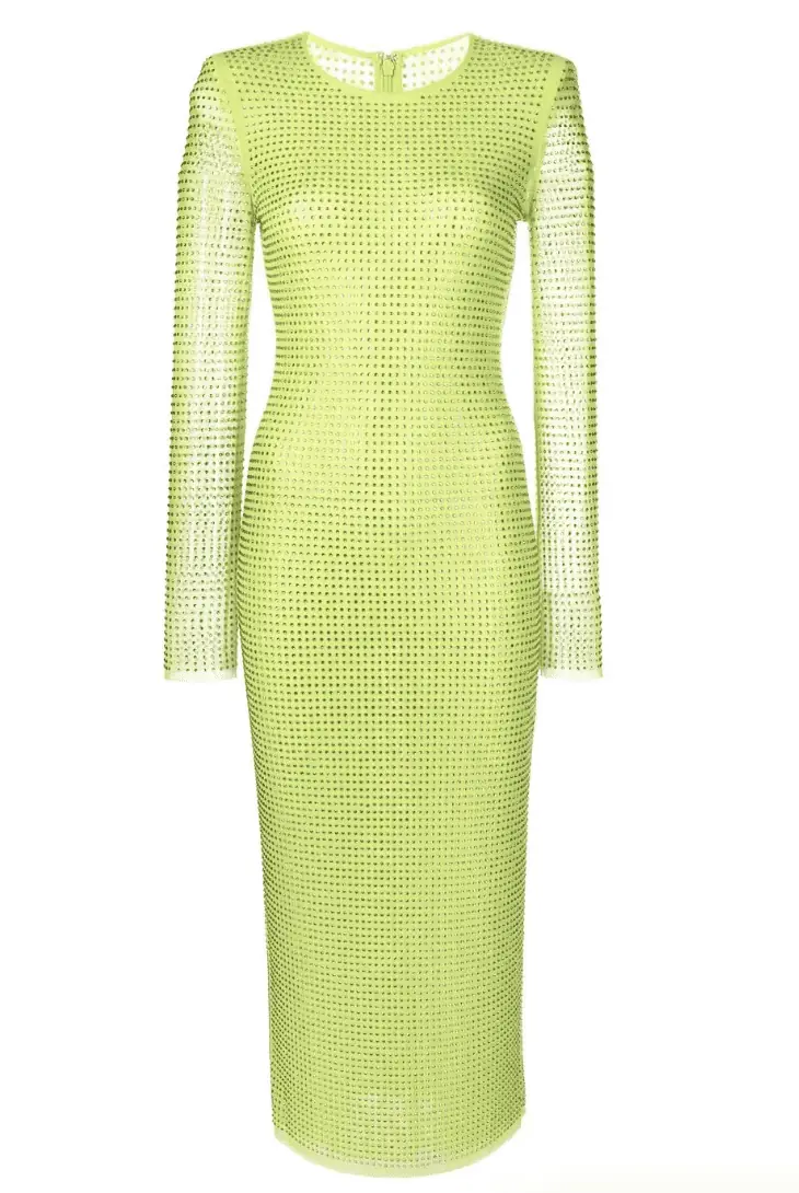 Erin Lichy's Green Embellished Dress