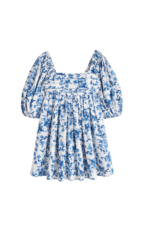 Venita Aspen's White and Blue Floral Dress