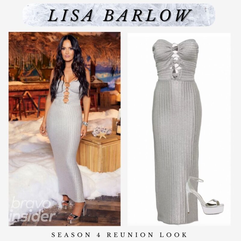 Lisa Barlow's Real Housewives of Salt Lake City Season 4 Reunion Dress