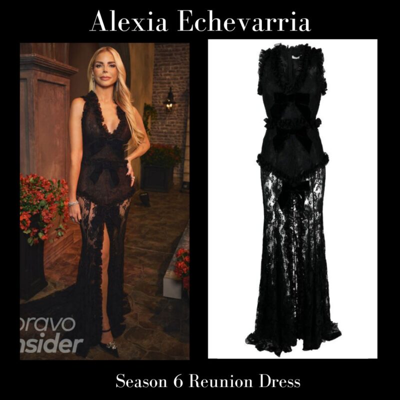 Alexia Echavarria's Real Housewives of Miami Season 6 Reunion Dress