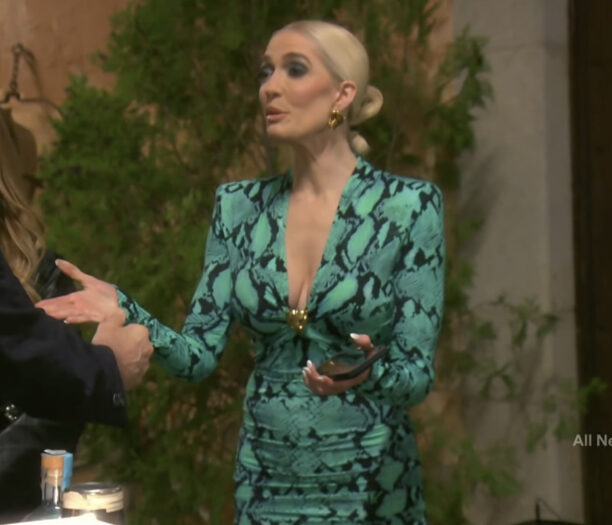 Erika Girardi's Green Snake Print Dress