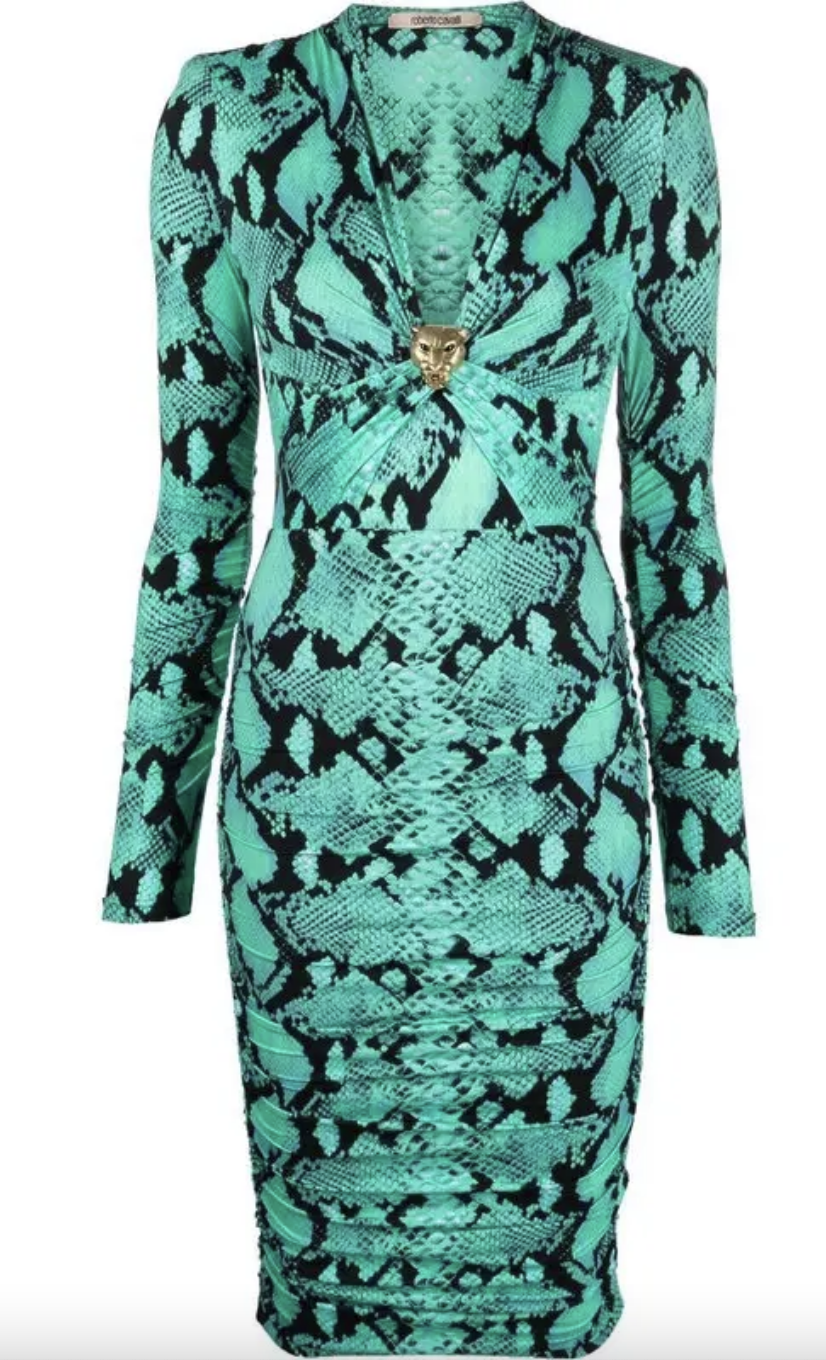 Erika Girardi's Green Snake Print Dress