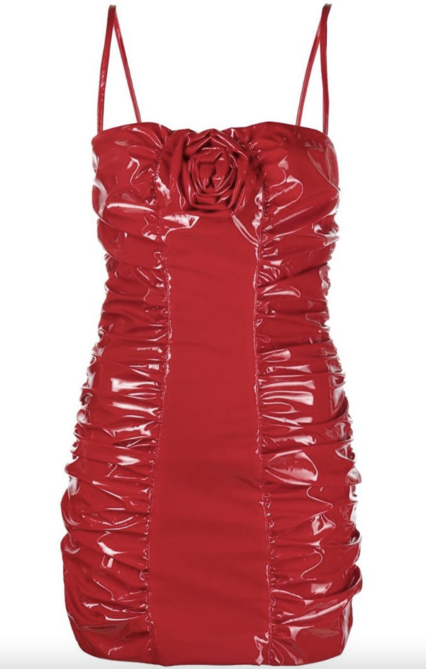 Erika Girardi's Red Faux Leather Mini Dress