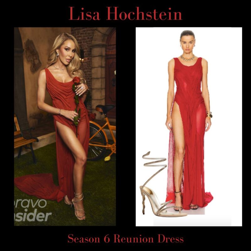 Lisa Hochstein's Real Housewives of Miami Season 6 Reunion Dress