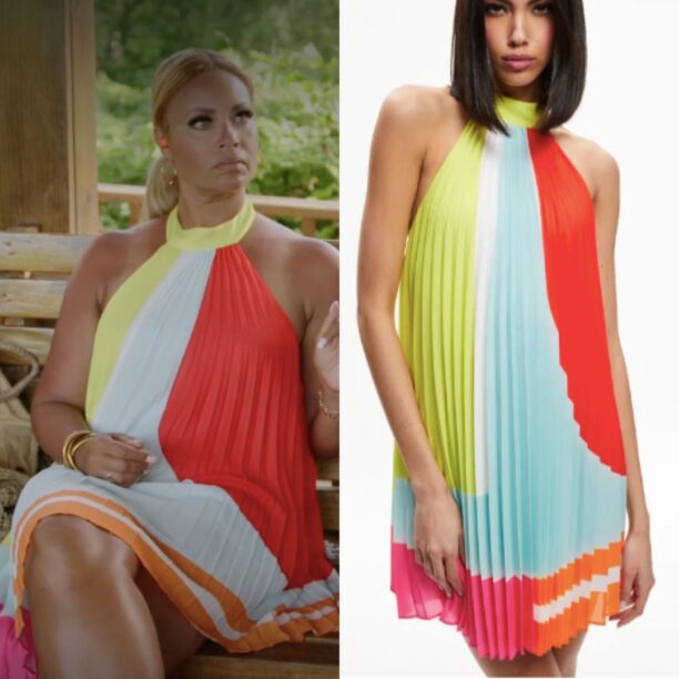 Gizelle Bryant's Multi Color Pleated Dress