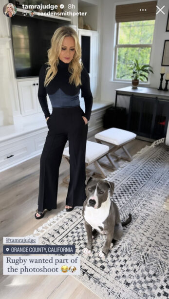 Tamra Judge's Black and Blue Bodysuit