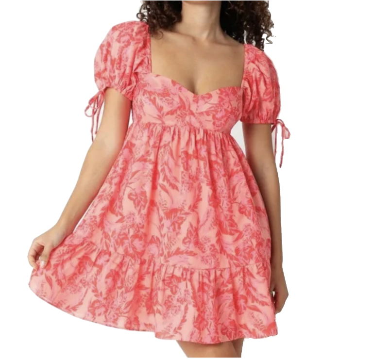 Ally Lewber's Pink Mini Floral Dress