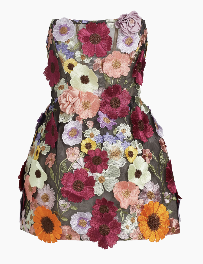 Marlo Hampton's Strapless Flower Appliqué Dress