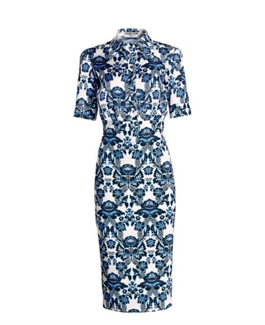 Dolores Catania's Blue Printed Button Down Dress